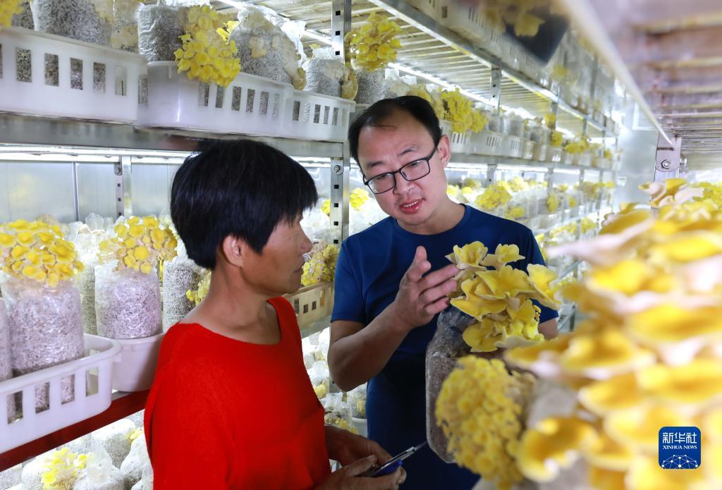 东方皇宫二手房